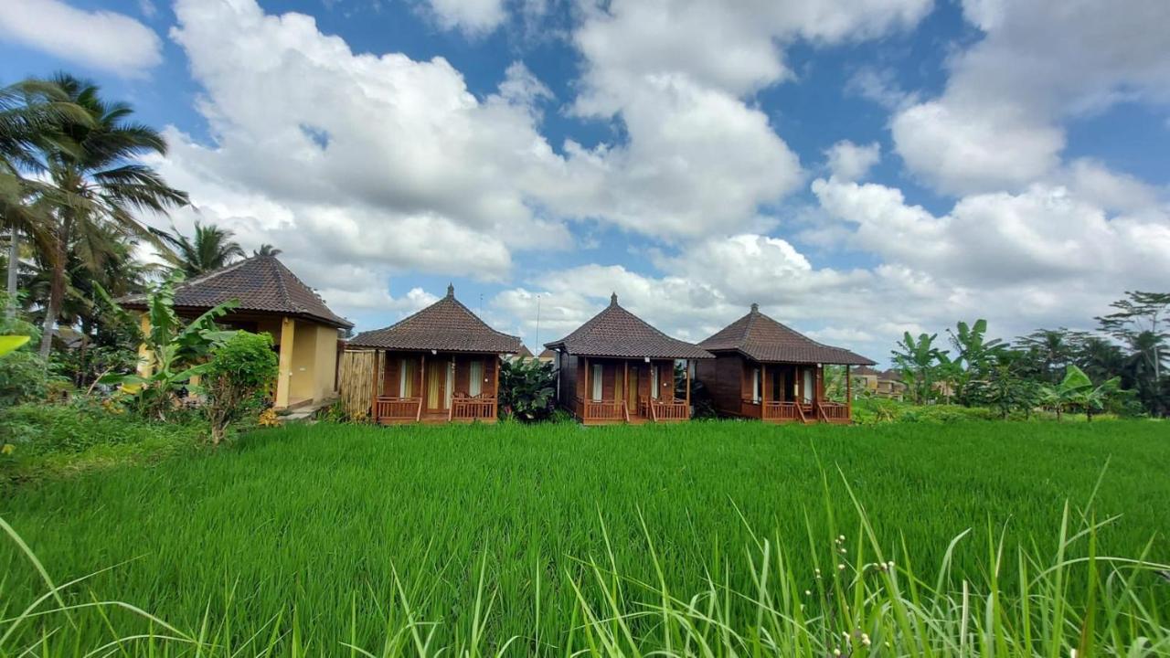 Ayu Guest house Ubud (Bali)